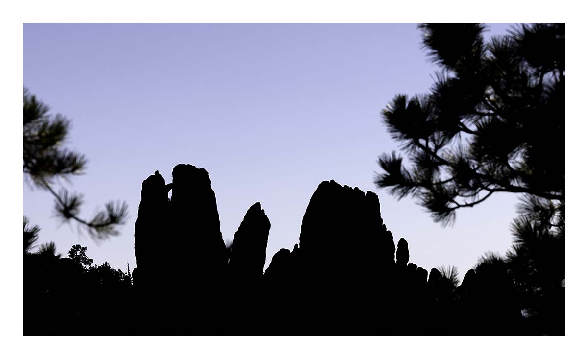 Custer State Park