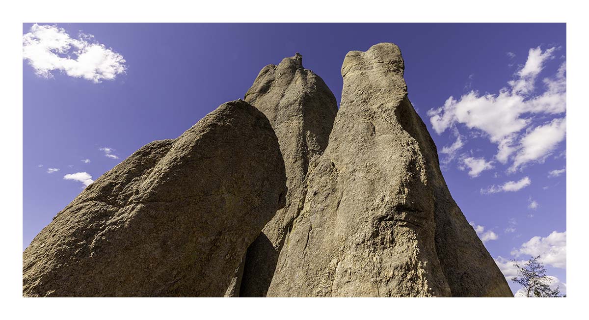 Custer State Park