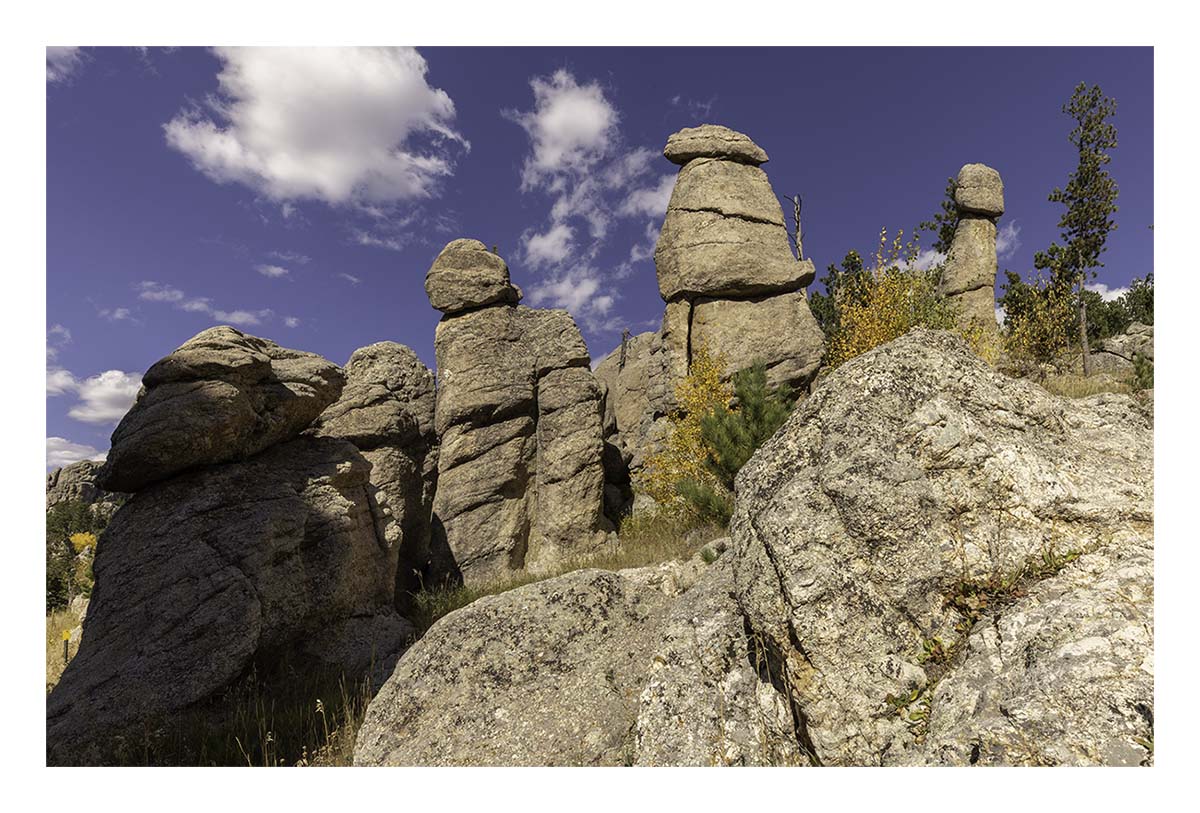 Custer State Park
