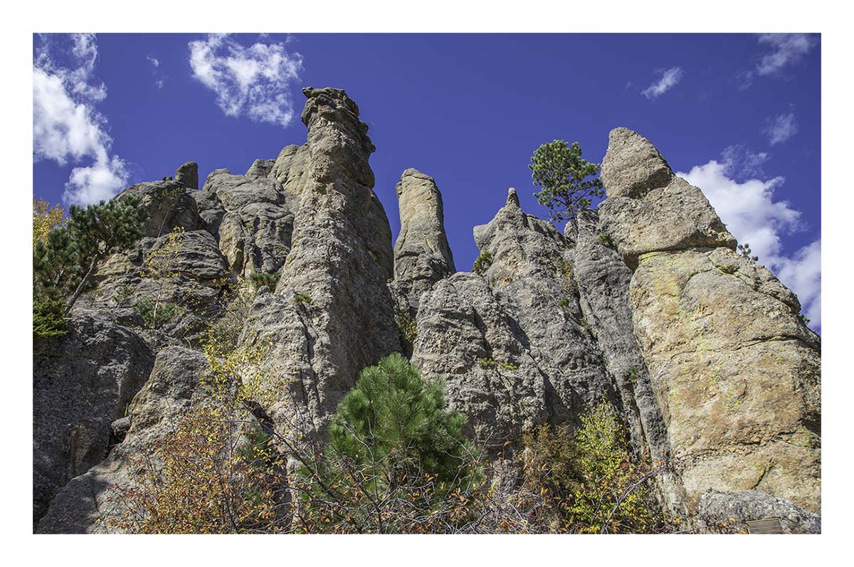 Custer State Park