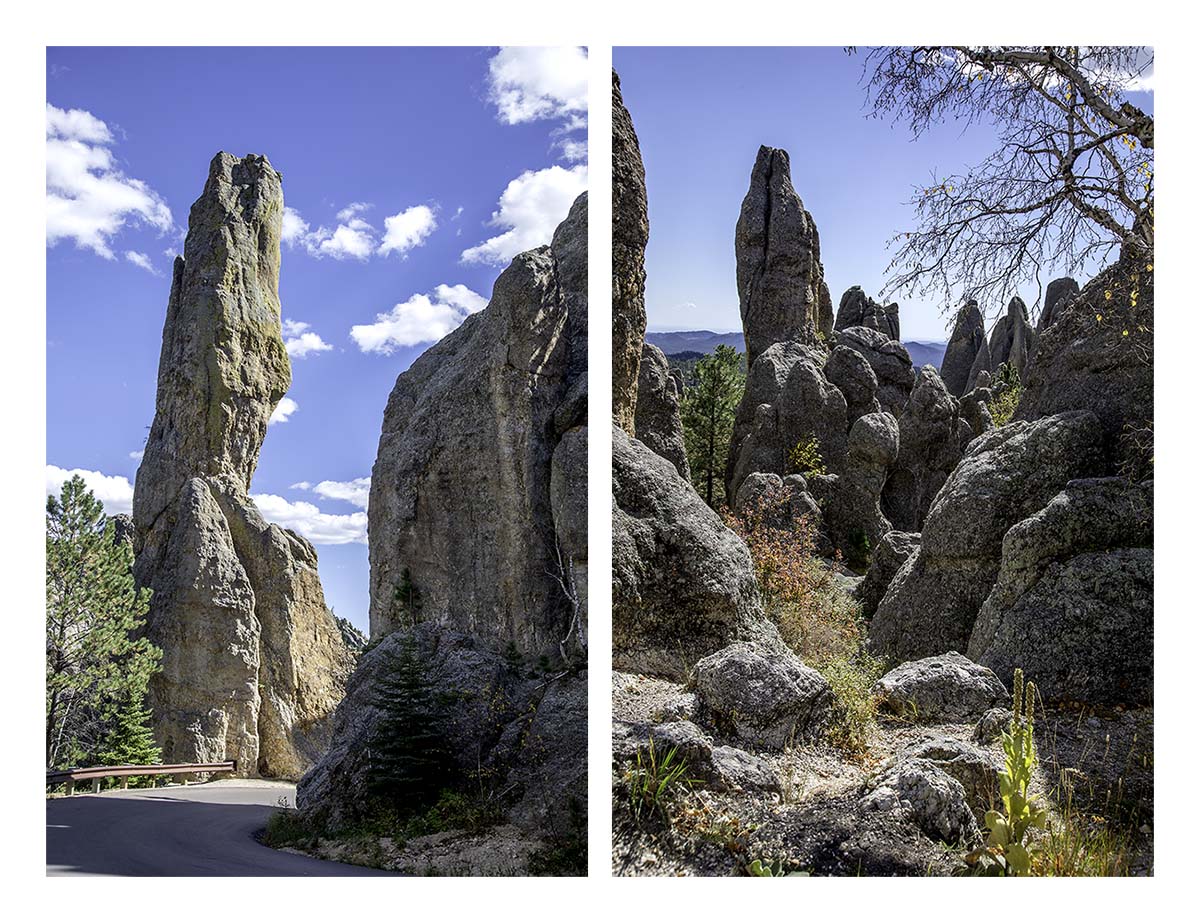 Custer State Park