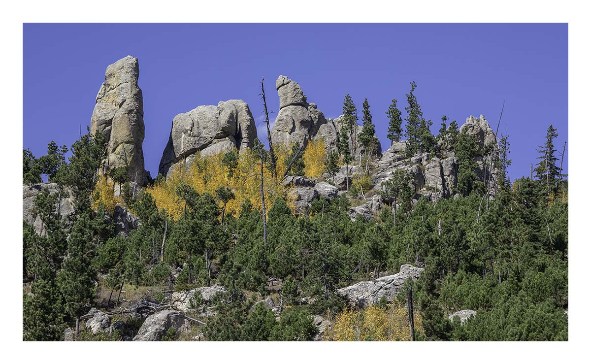 Custer State Park