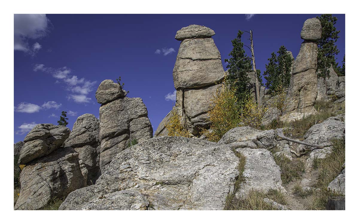 Custer State Park