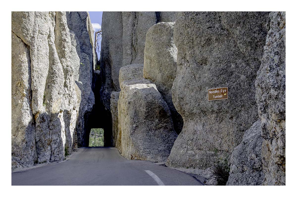 Custer State Park