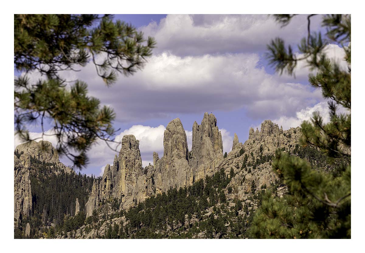 Custer State Park