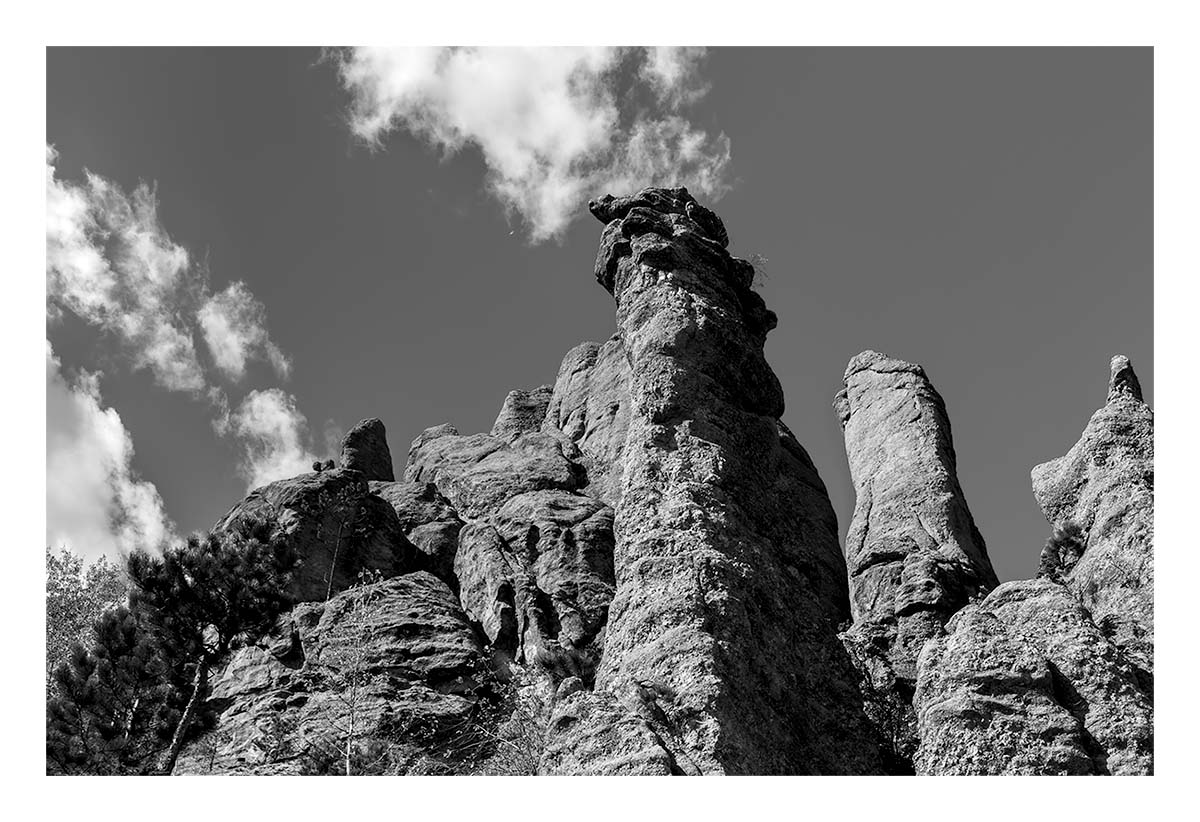 Custer State Park