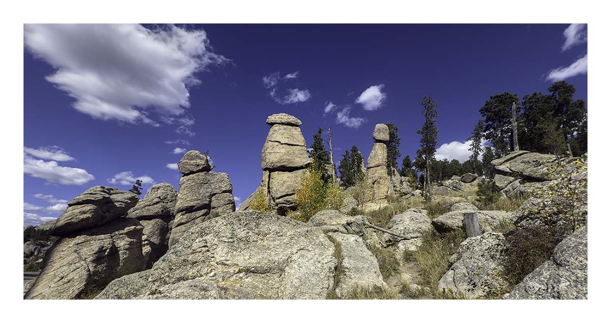 Custer State Park