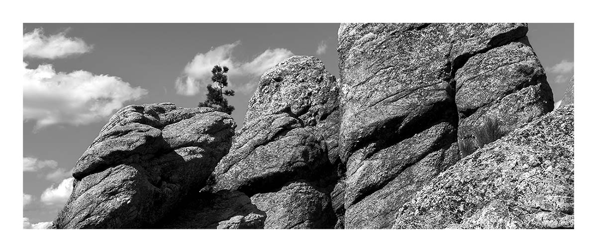 Custer State Park