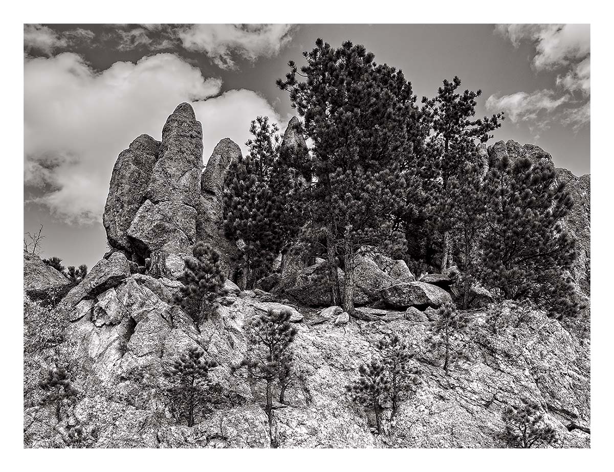 Custer State Park