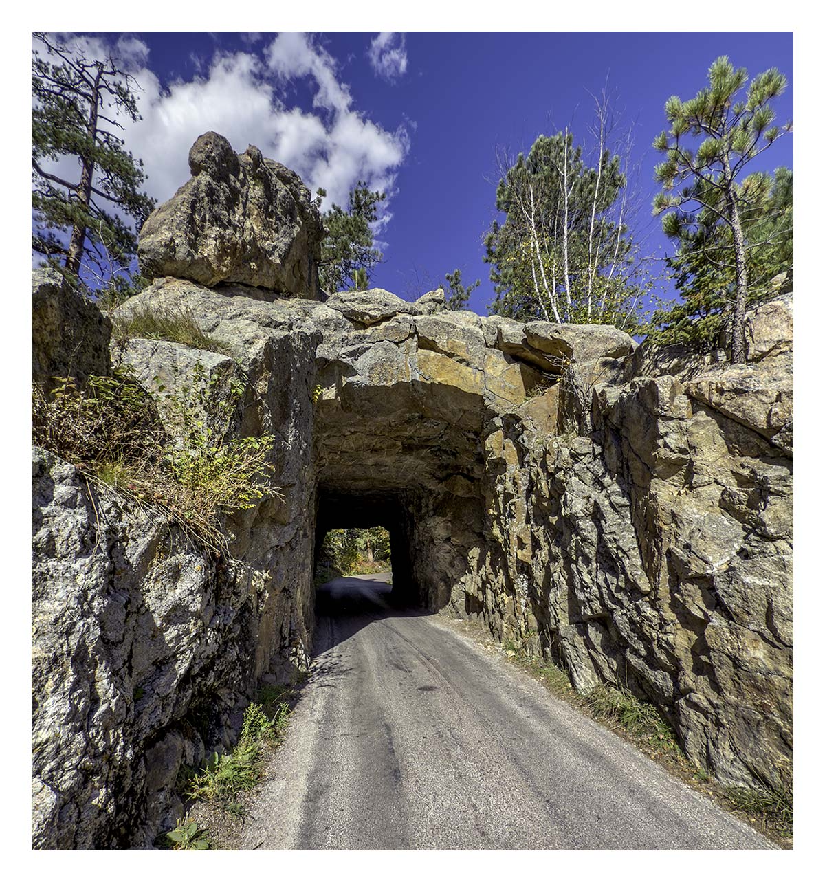 Custer State Park