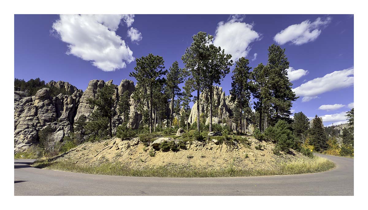Custer State Park