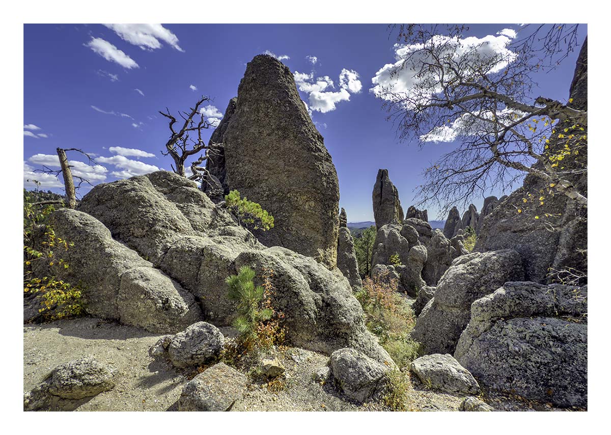 Custer State Park