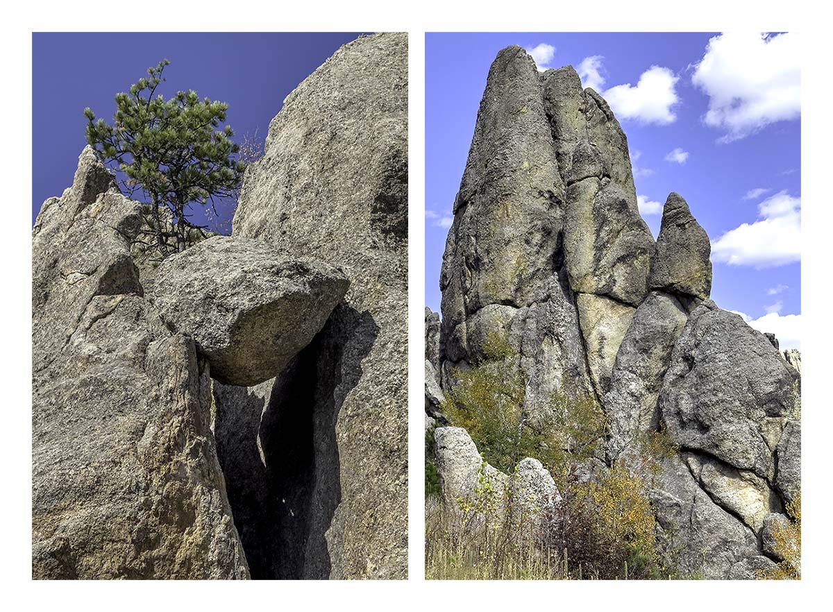 Custer State Park