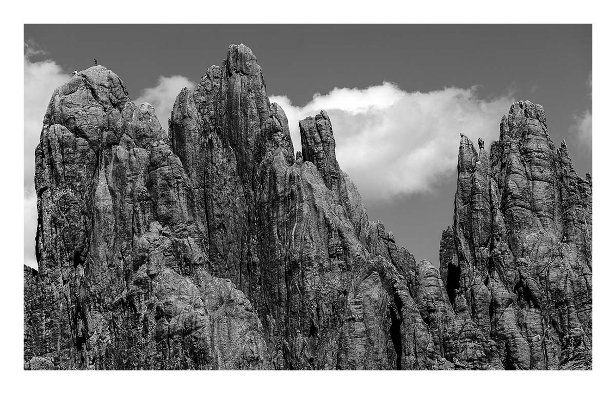 Custer State Park