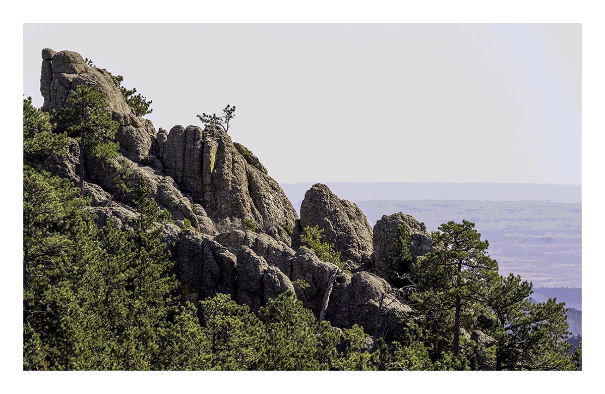 Custer State Park