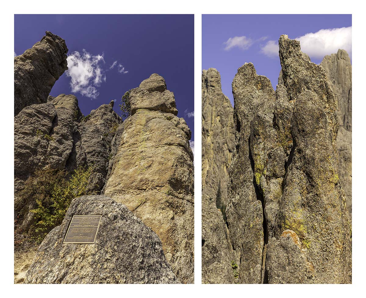 Custer State Park