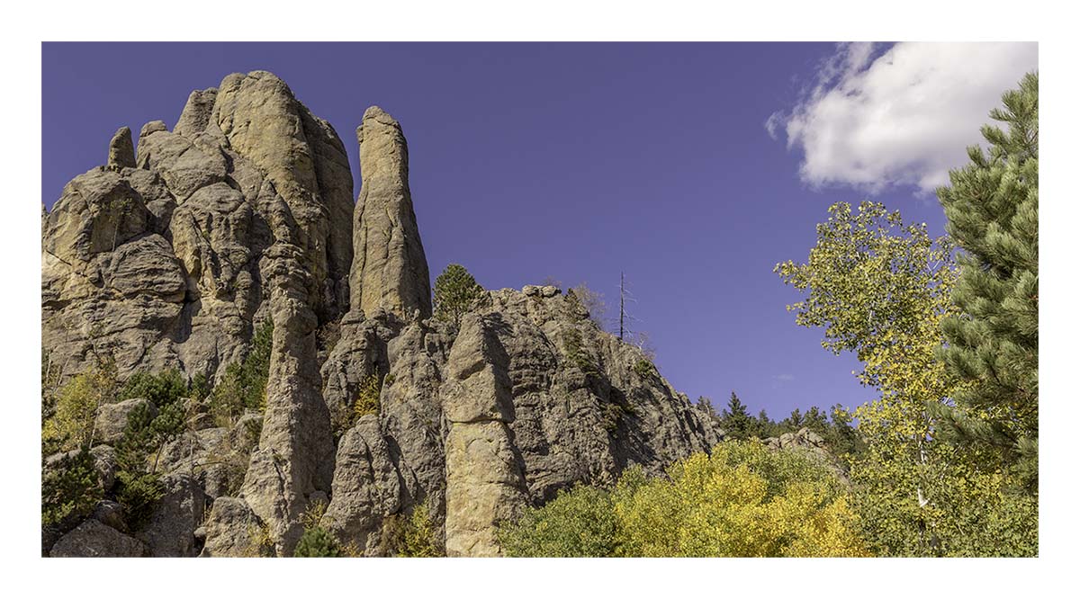 Custer State Park