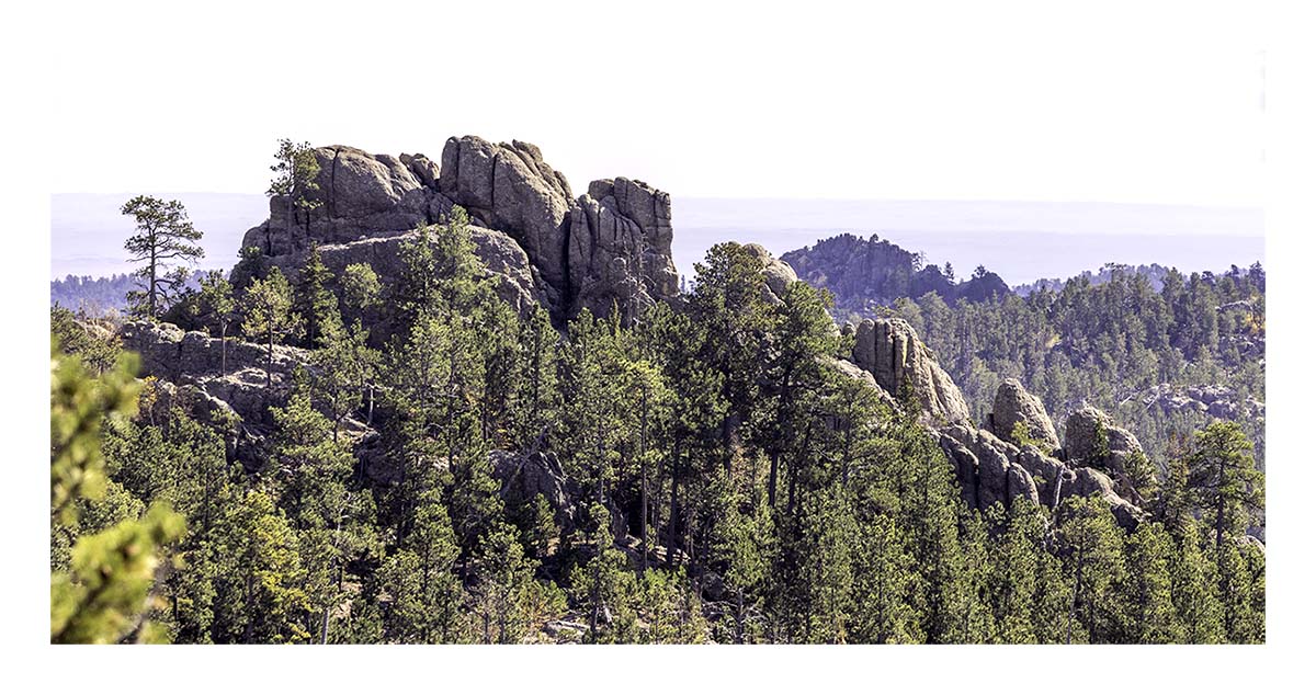 Custer State Park