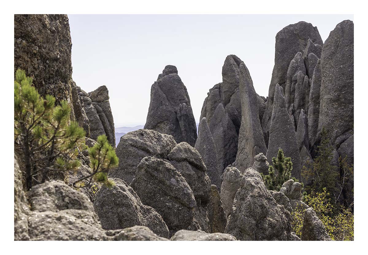 Custer State Park