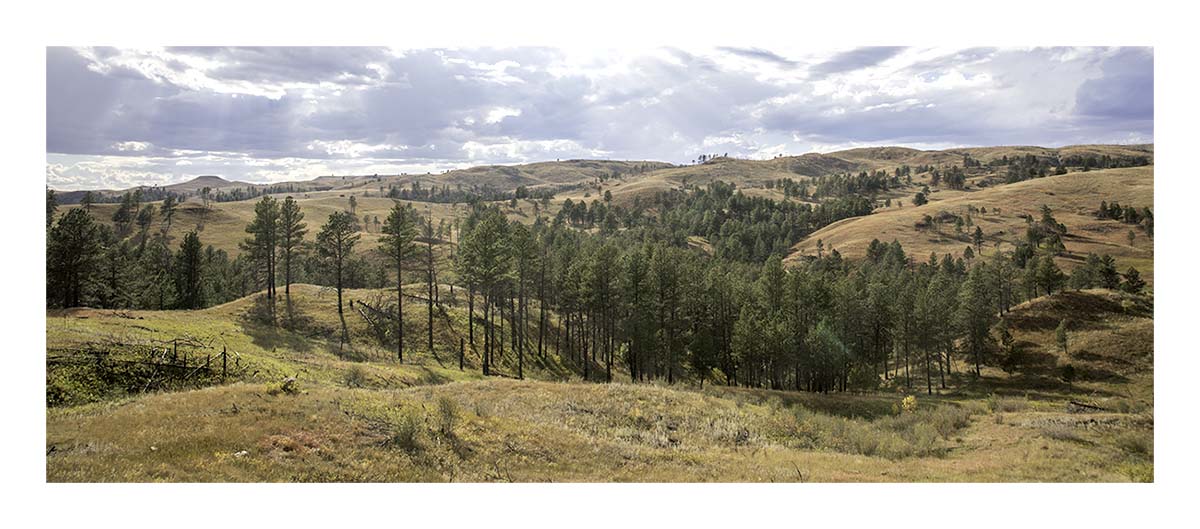 Custer State Park