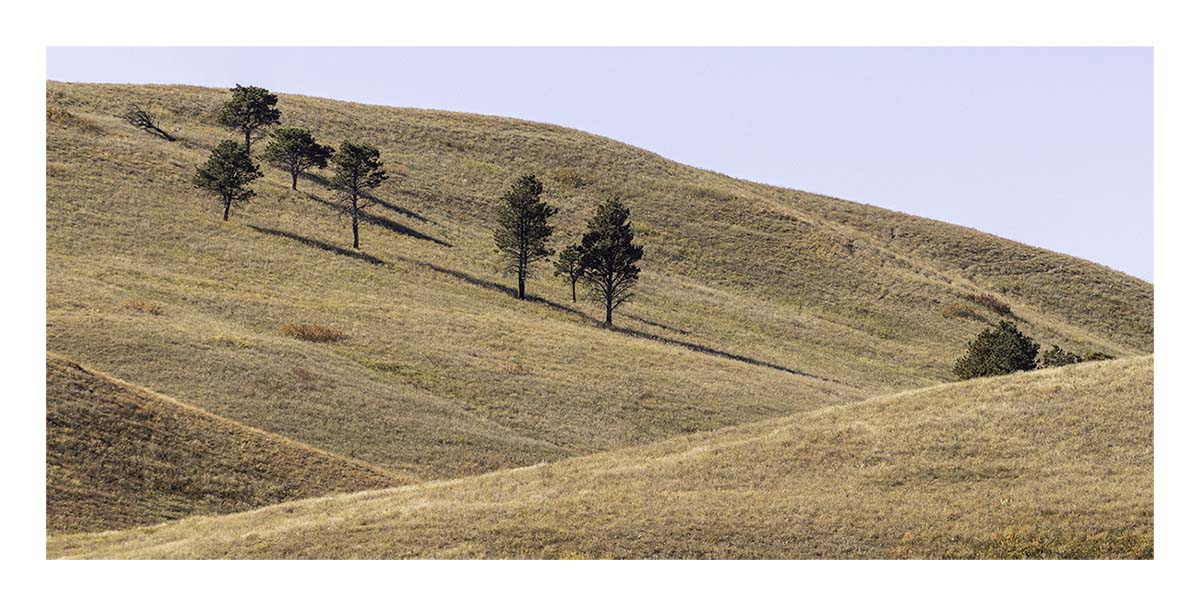 Custer State Park