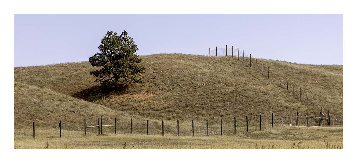 Custer State Park