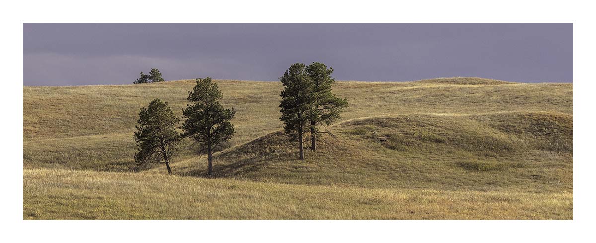 Custer State Park