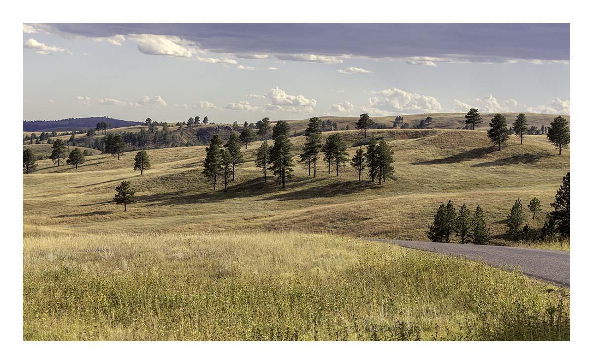 Custer State Park