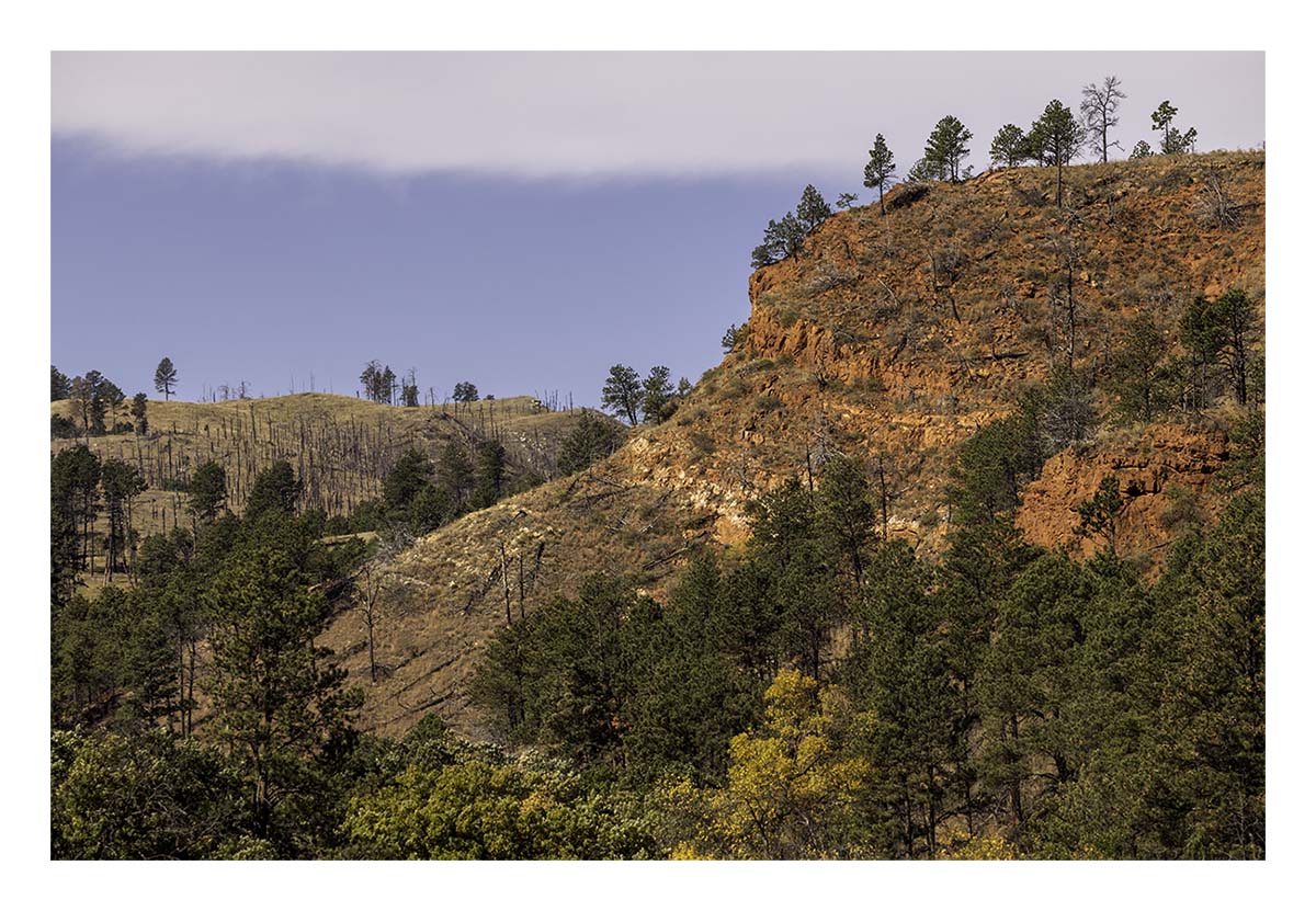 Custer State Park