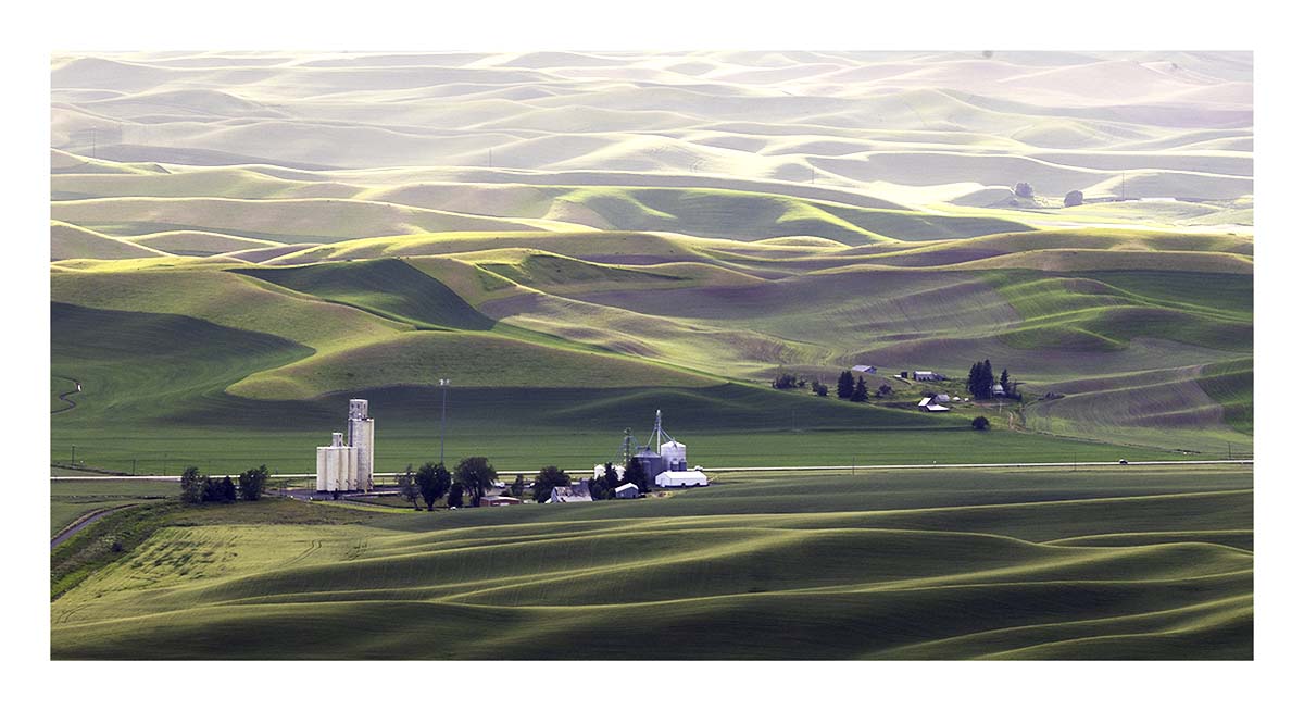 BCJ Spring in the Palouse