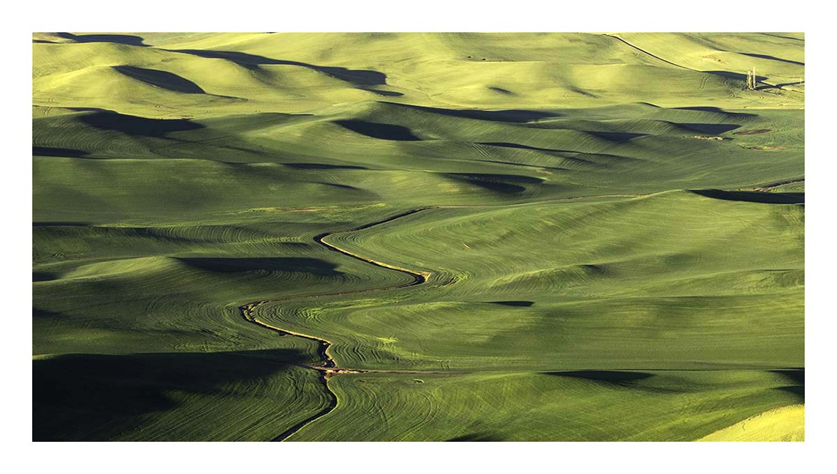 BCJ Spring in the Palouse