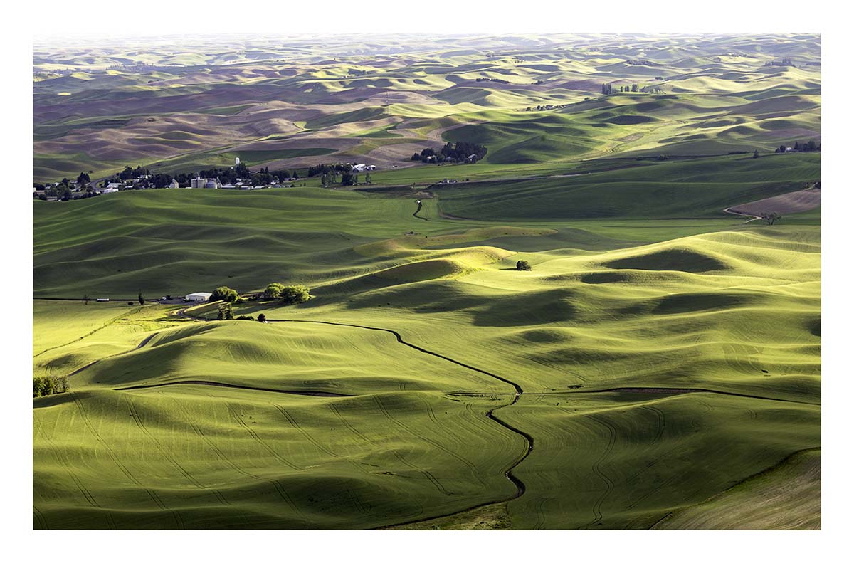 BCJ Spring in the Palouse