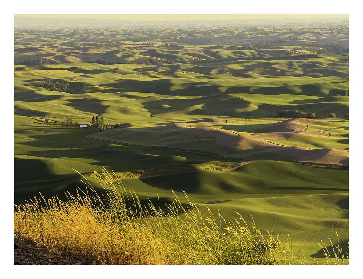 BCJ Spring in the Palouse