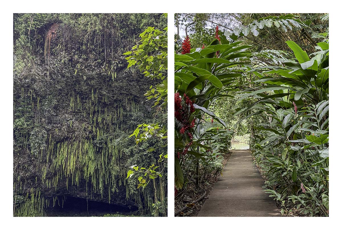 Wailua River SP - Kaua'i Hawai'i