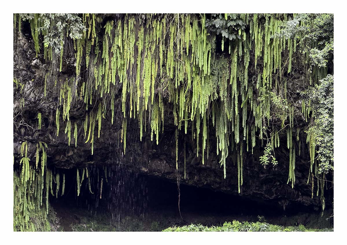 Wailua River SP - Kaua'i Hawai'i