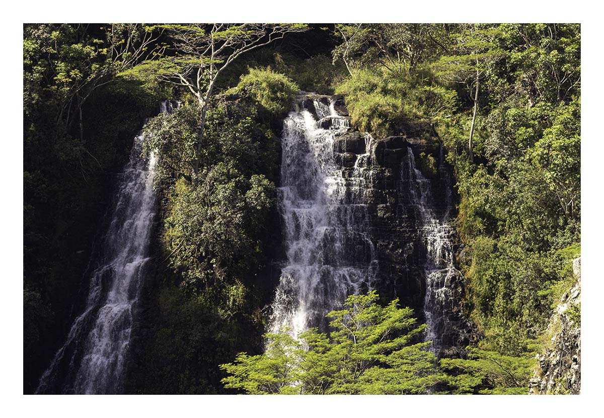 Wailua River SP - Kaua'i Hawai'i