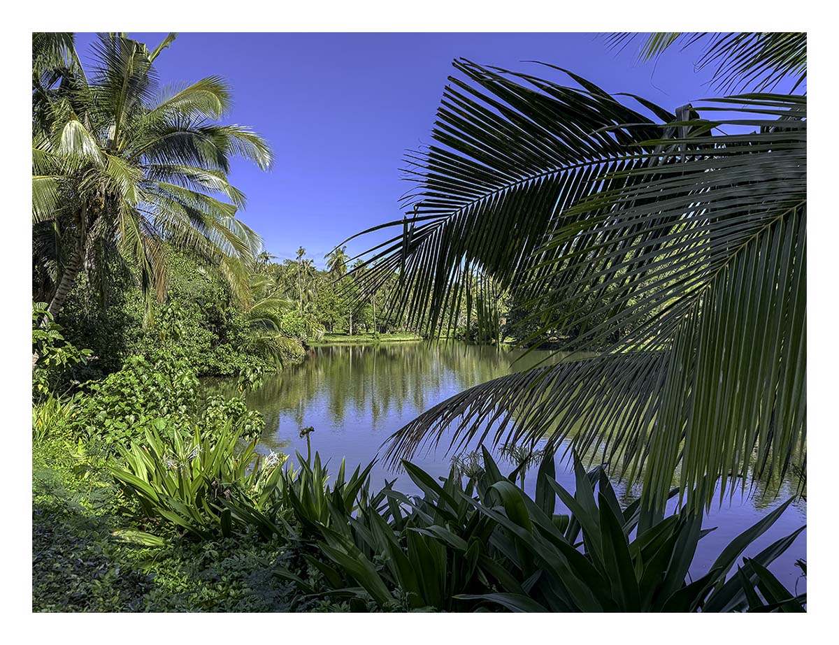 Wailua River SP - Kaua'i Hawai'i