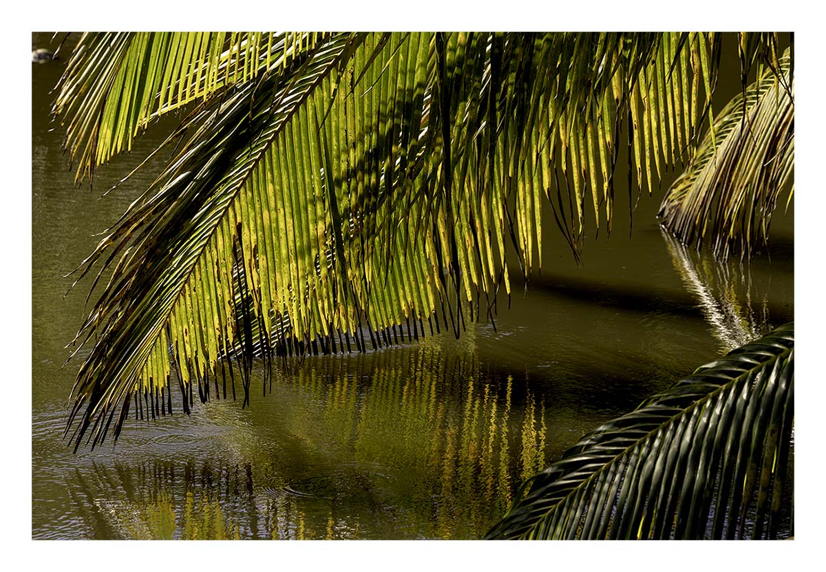 Wailua River SP - Kaua'i Hawai'i