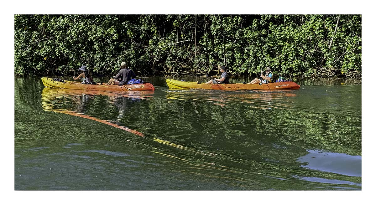 Wailua River SP - Kaua'i Hawai'i