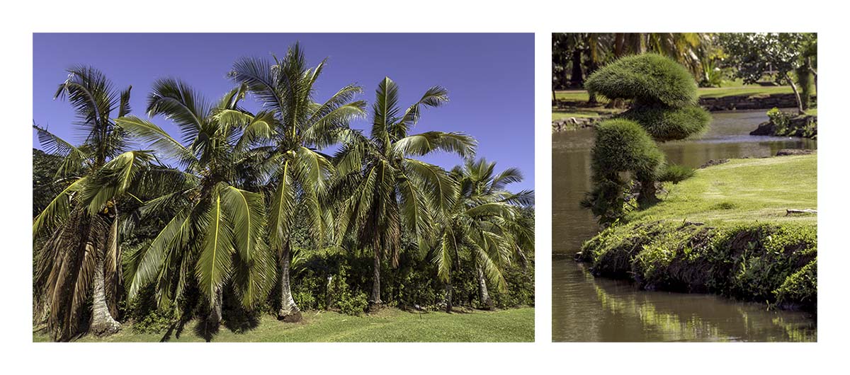 Wailua River SP - Kaua'i Hawai'i