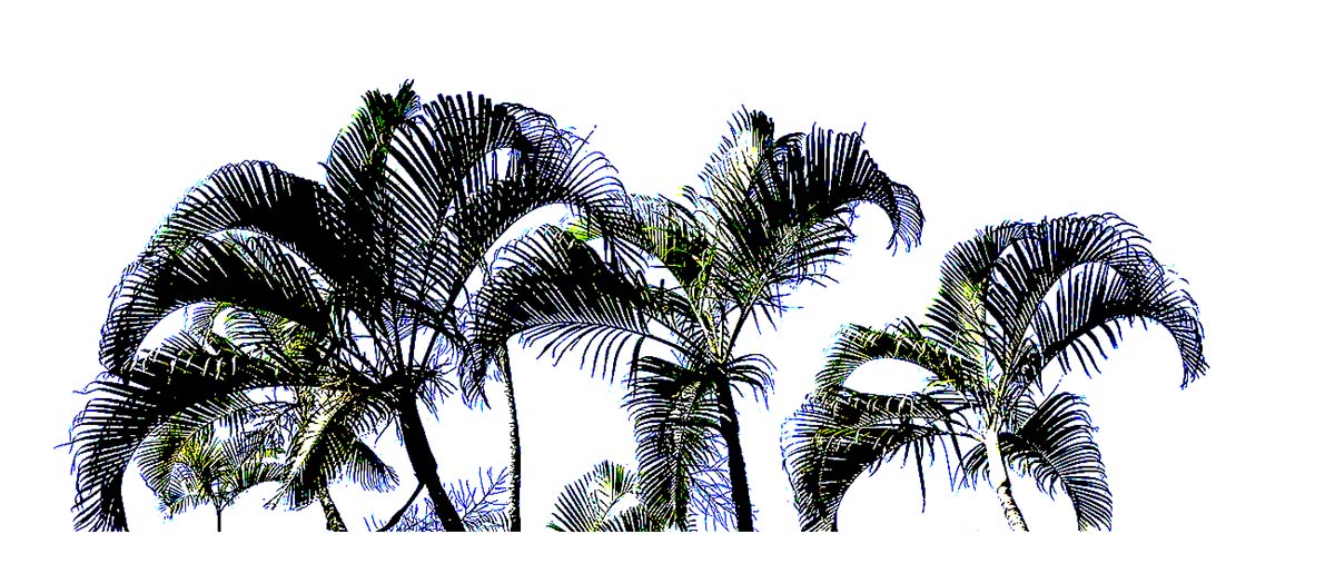 Kauai, Hawaii