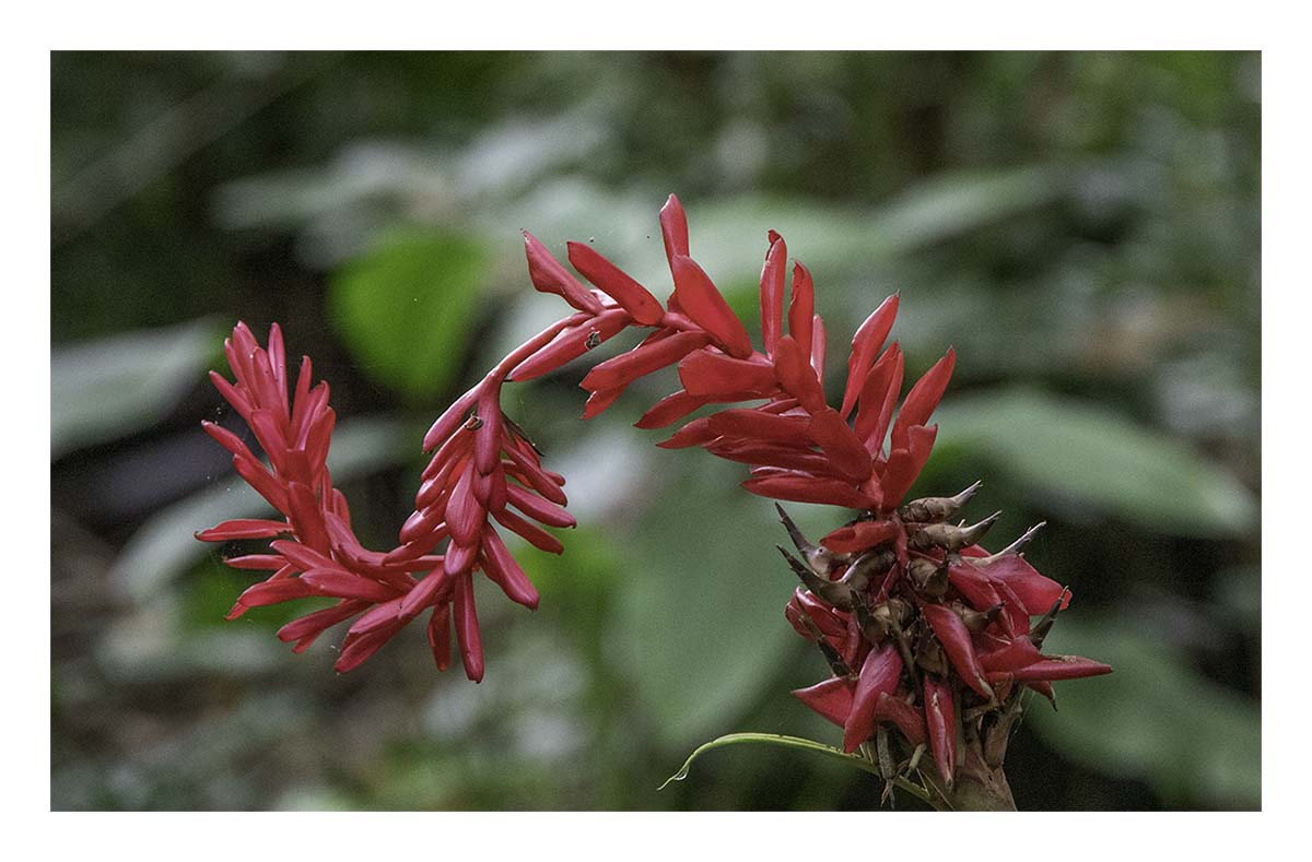 Wailua river State Park