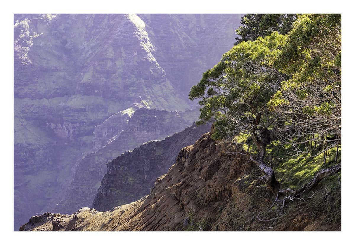 Kaua'i Hawai'i