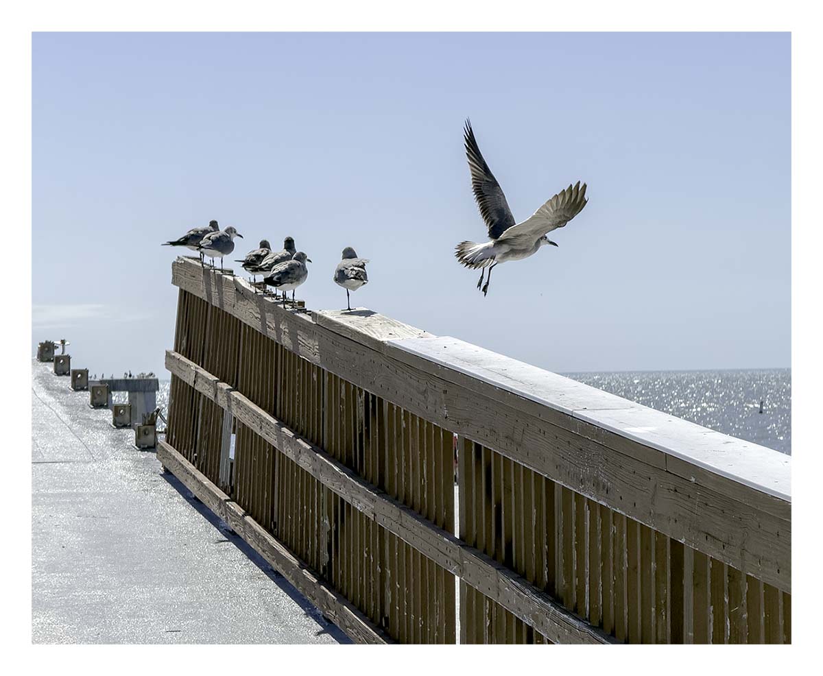 Fort Myers