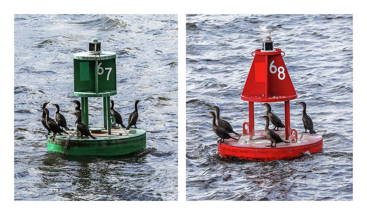 Hudson River Cruises