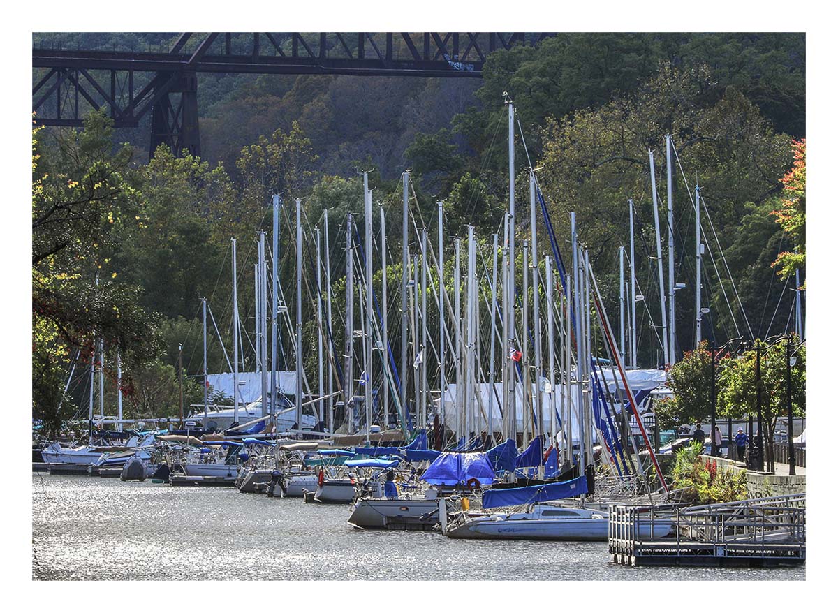 Hudson River Cruises
