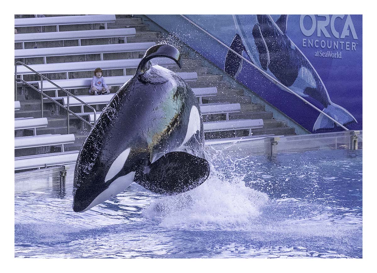 SeaWorld Orlando