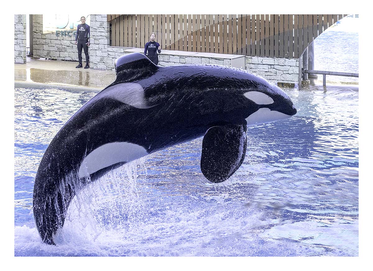 SeaWorld Orlando