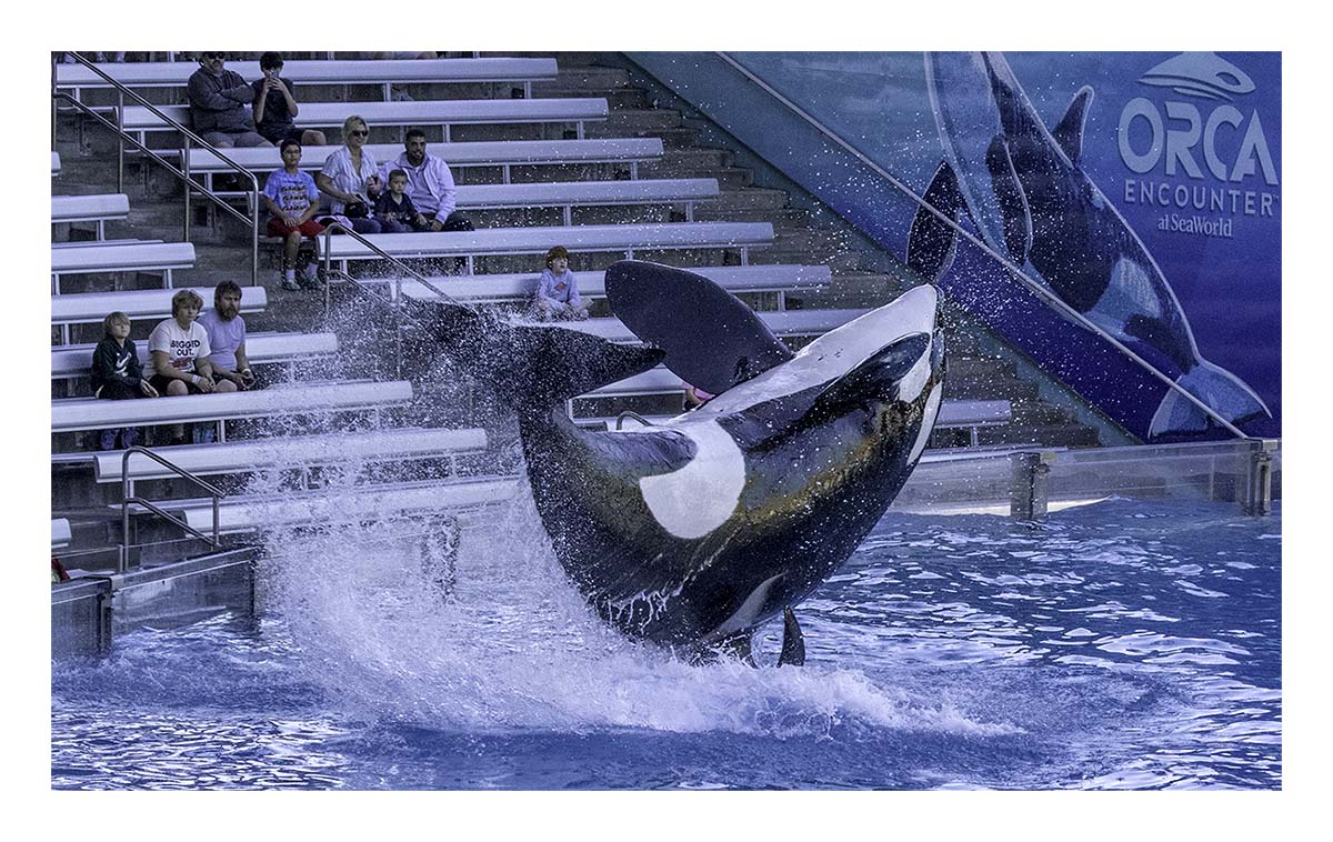 SeaWorld Orlando