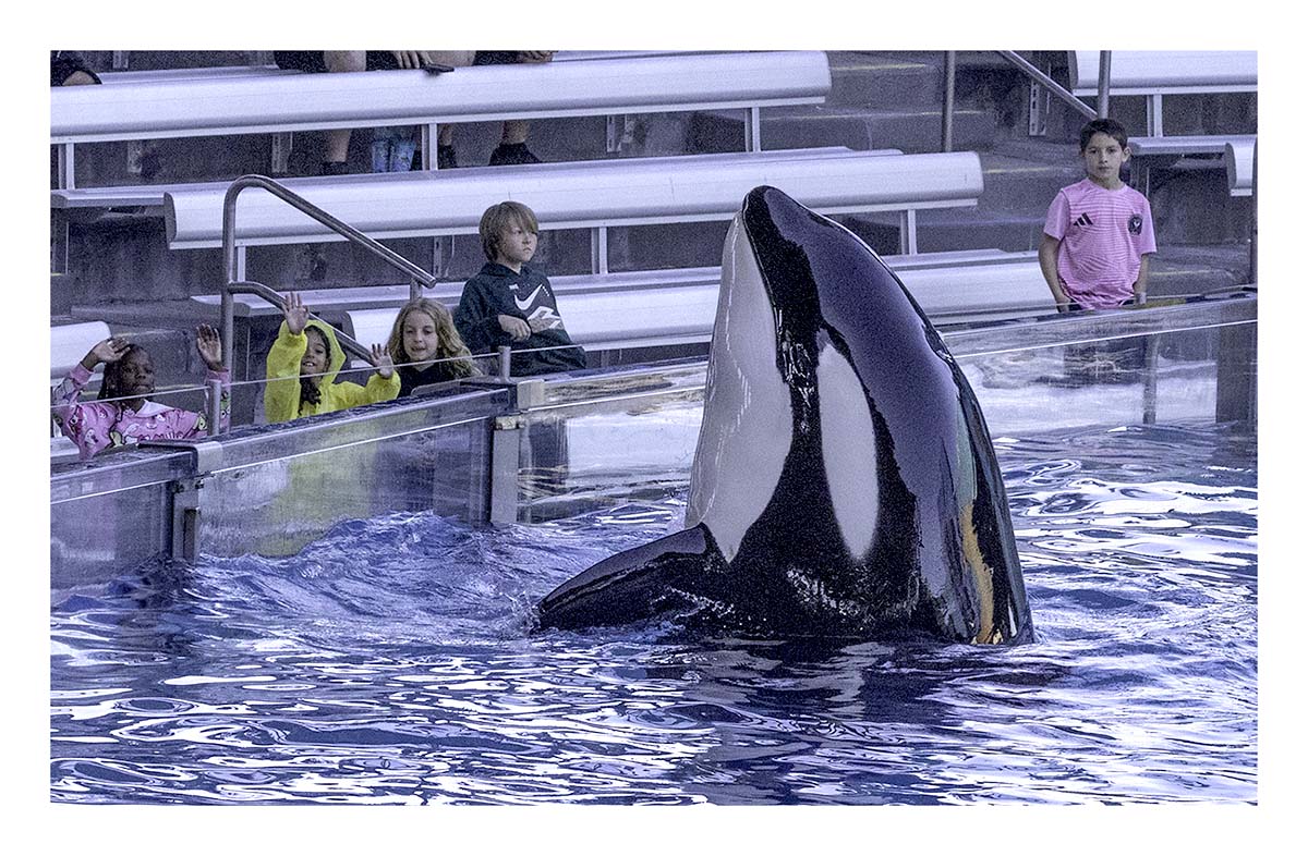 SeaWorld Orlando